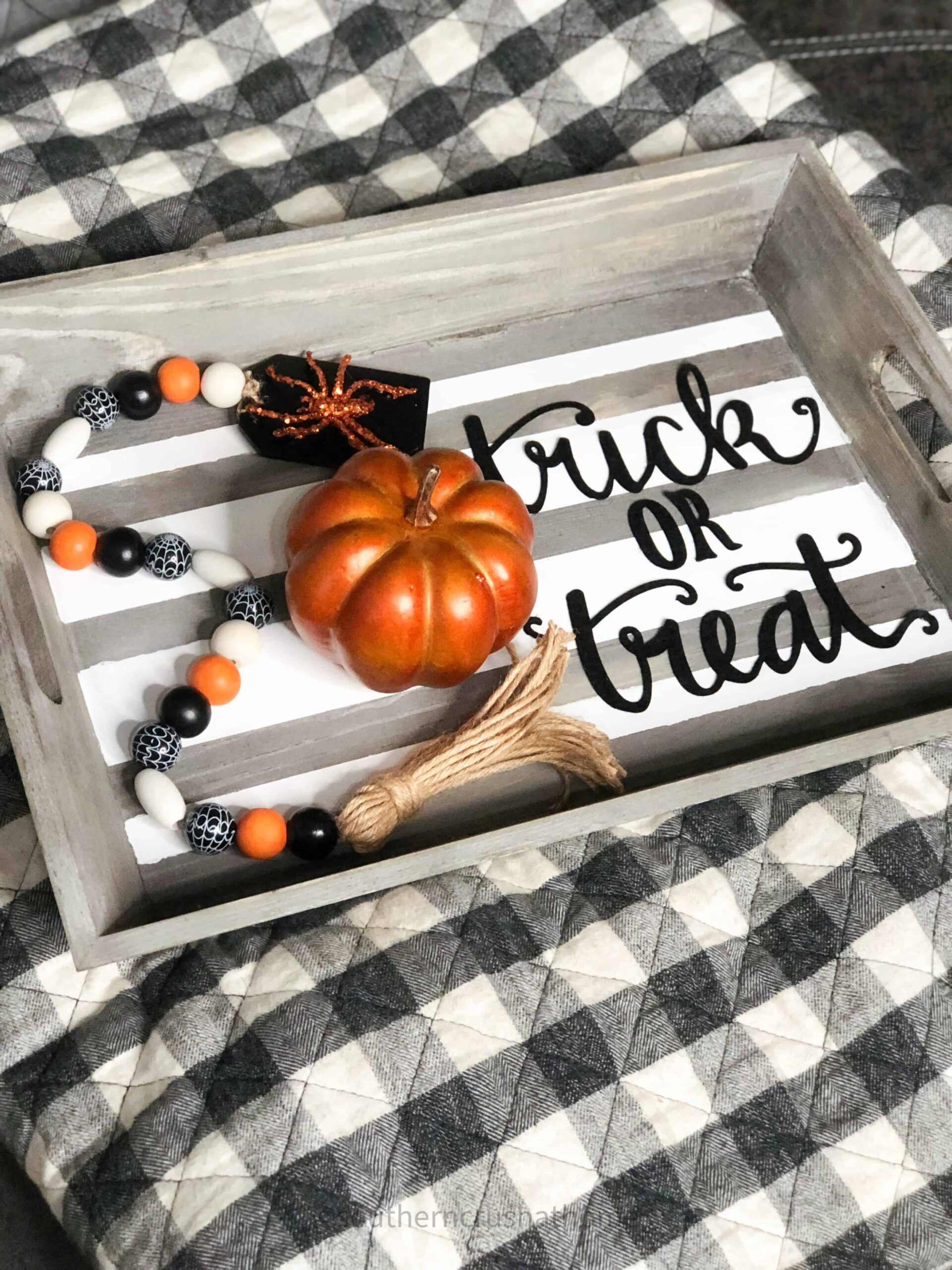 trick or treat tray on checked background