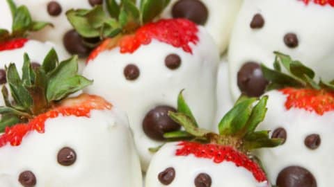 3 Ingredient Chocolate Covered Strawberries – Wild Groves