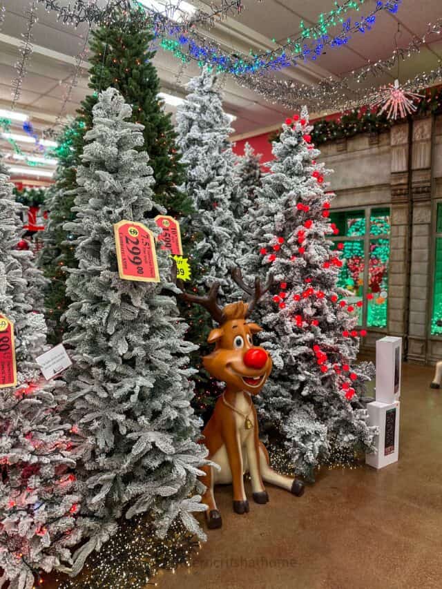 Decorator's Warehouse: The Ultimate Christmas Tree Store for the Holidays