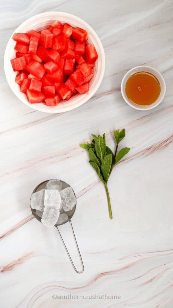 ingredients for watermelon slushie