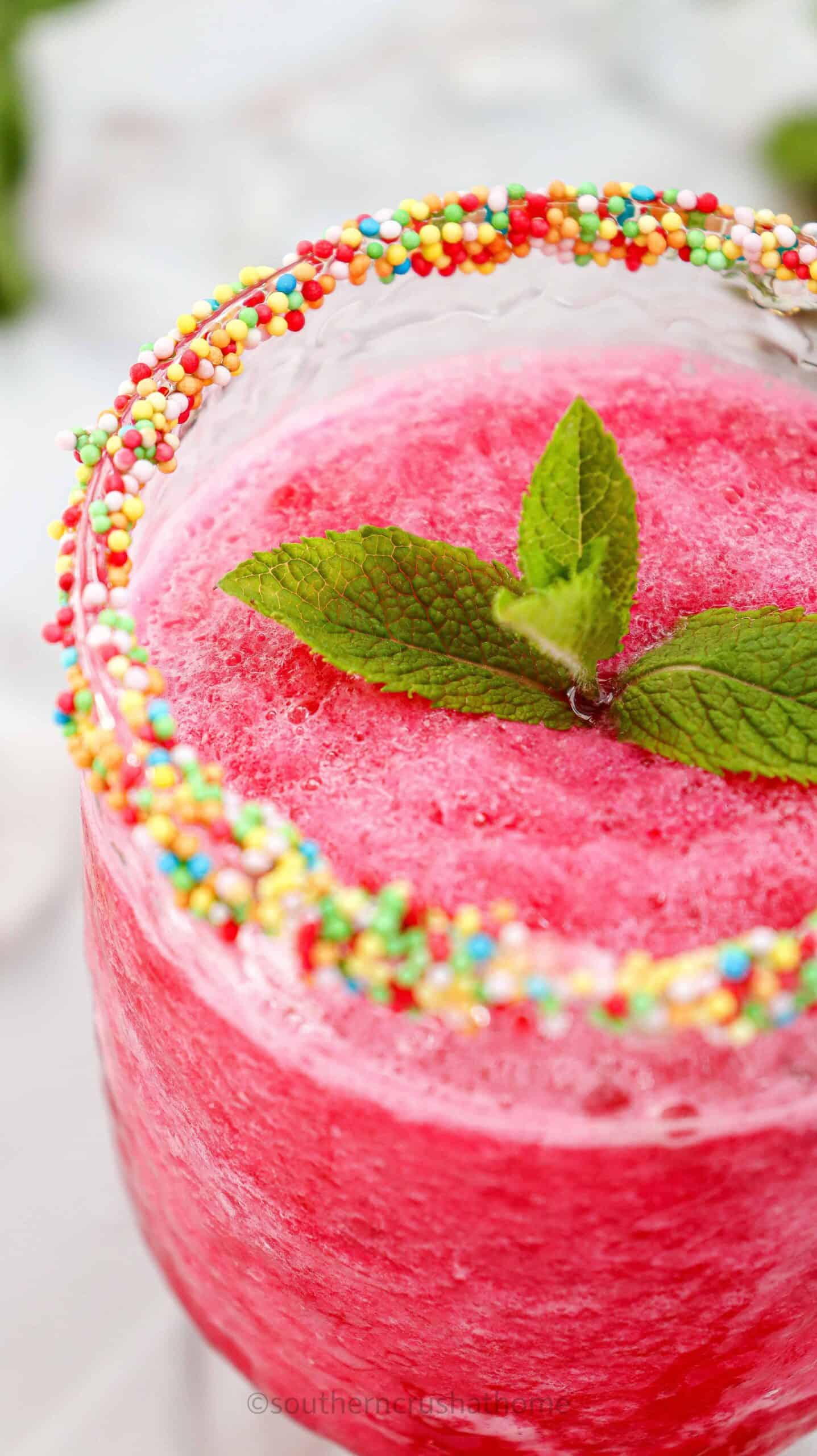 garnished watermelon slushie