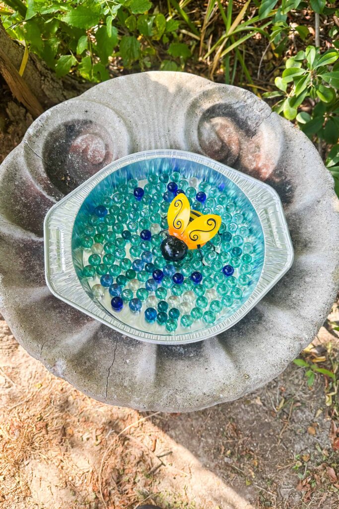 bee watering station in my bird bath