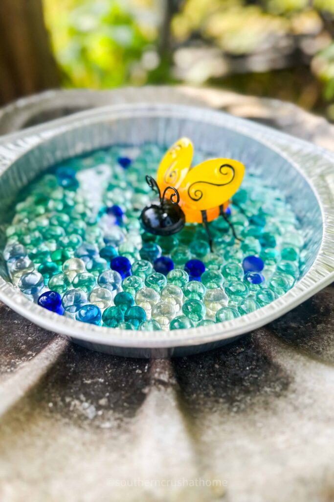 bee watering station