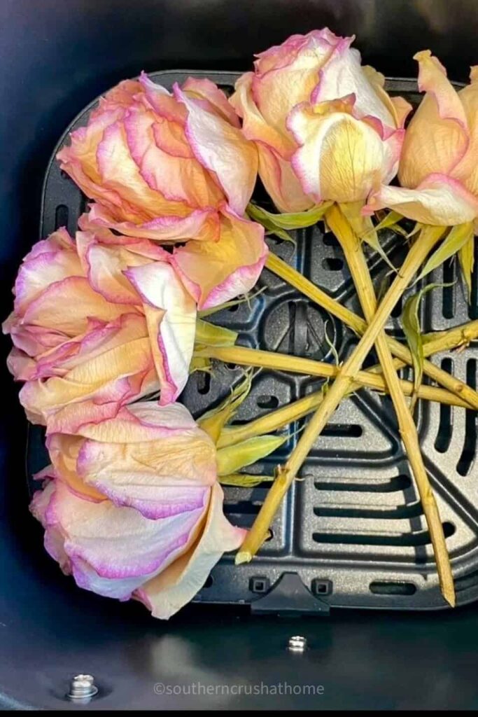 preserved flowers in an airfryer