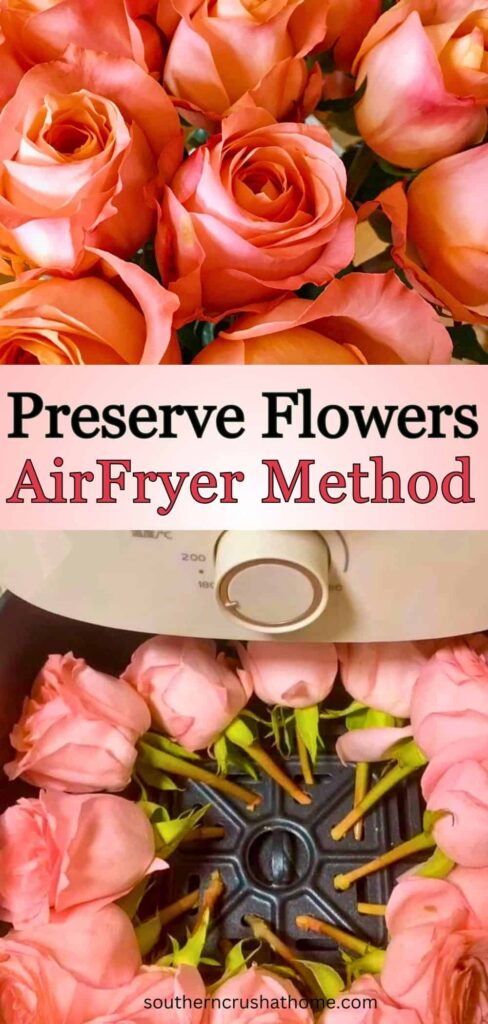 How to Preserve Flowers PIN