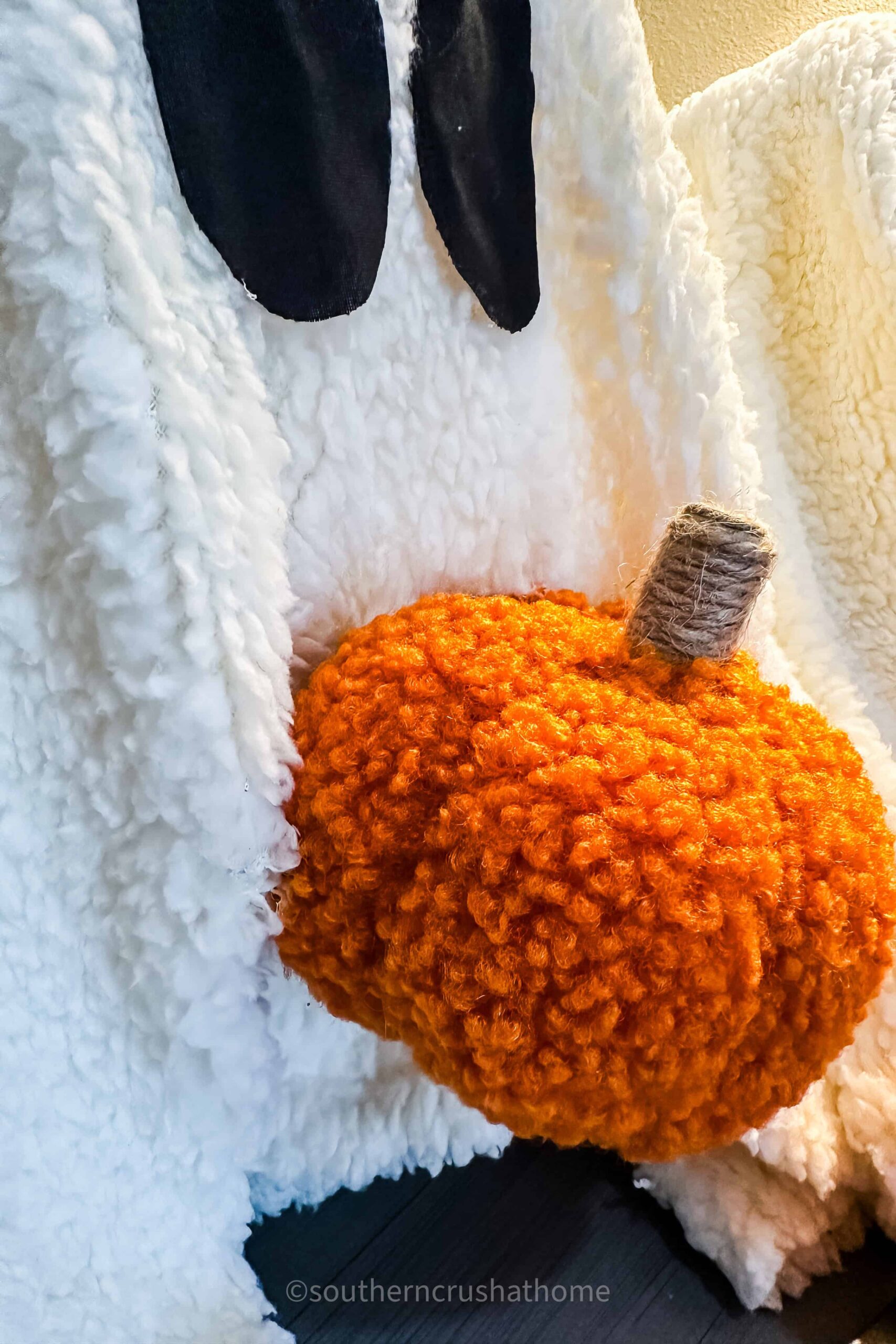 up close of sherpa pumpkin