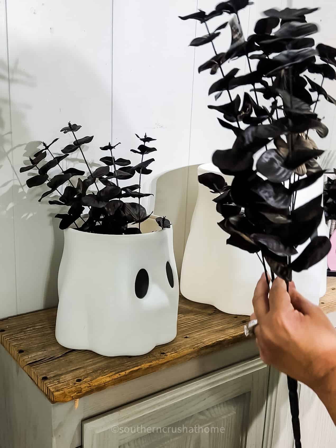 adding black eucalyptus to ghost buckets