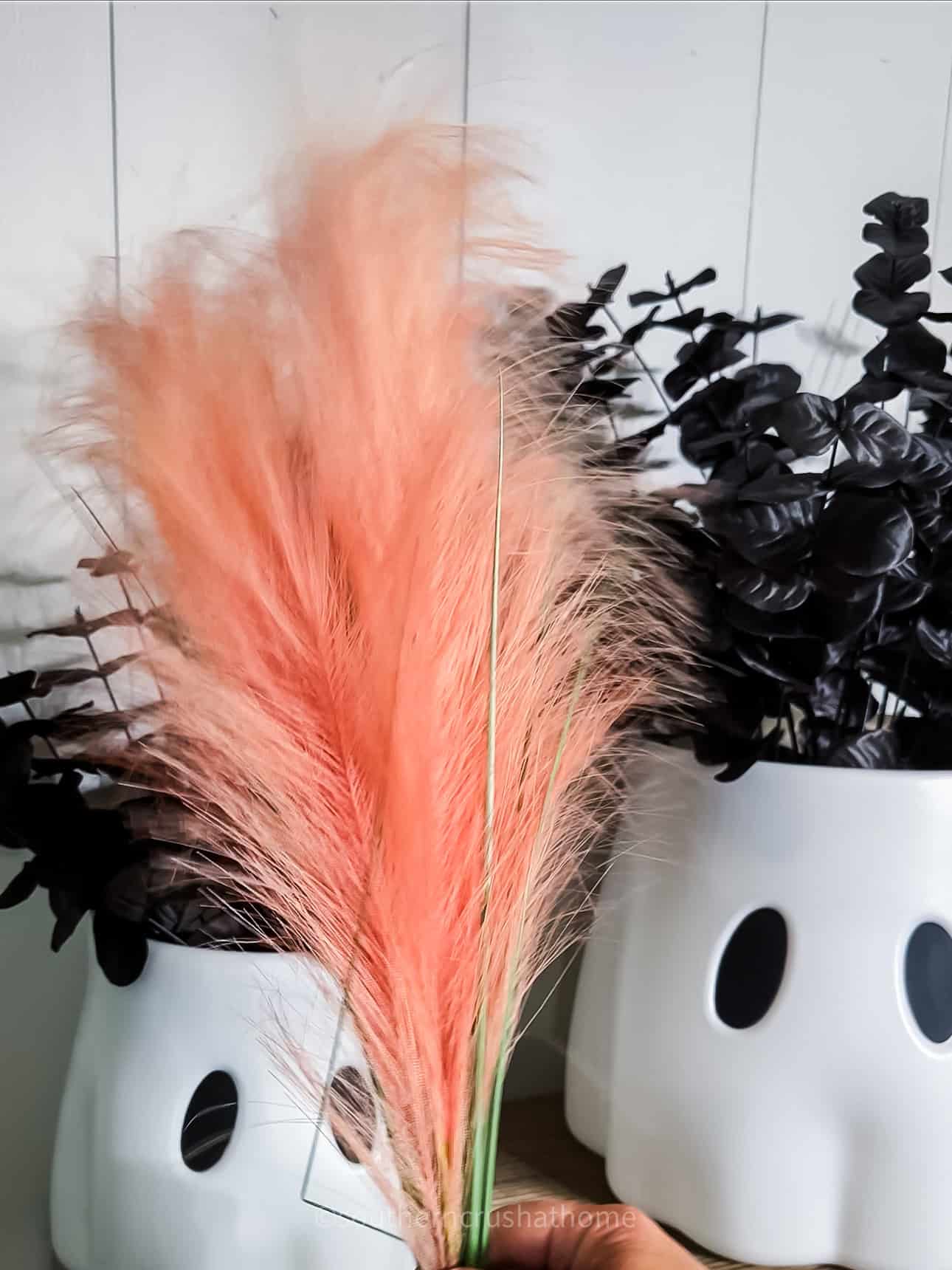 pink plumes