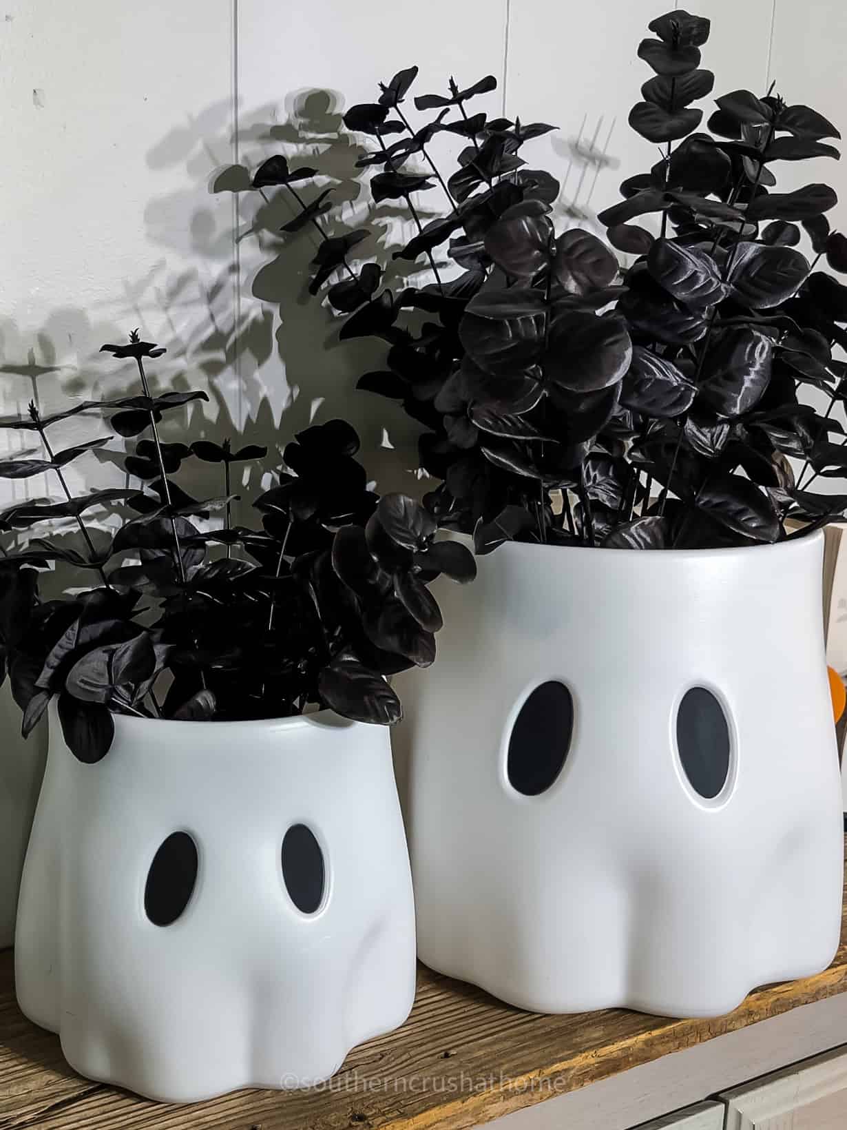 dollar general ghost buckets with black eucalyptus