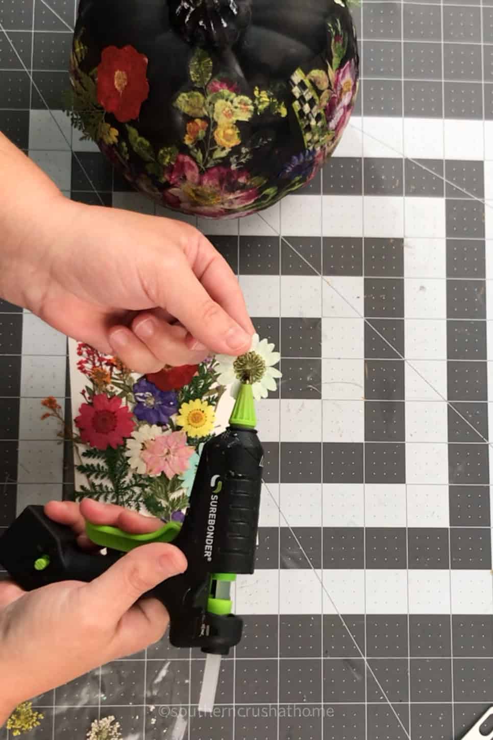 adding pressed flowers with hot glue to pumpkin