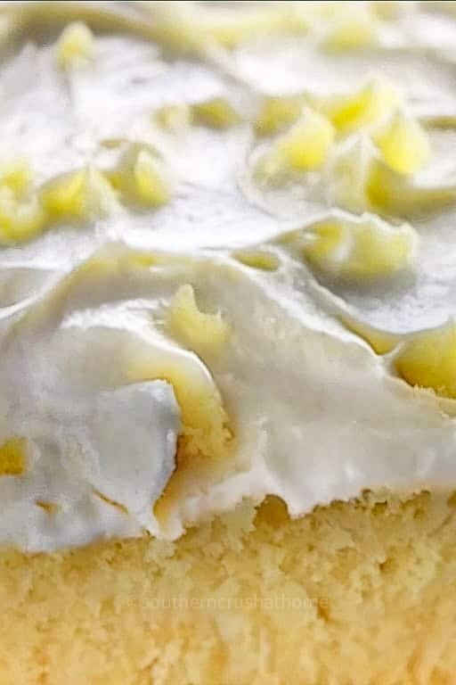 Pineapple Cake close up